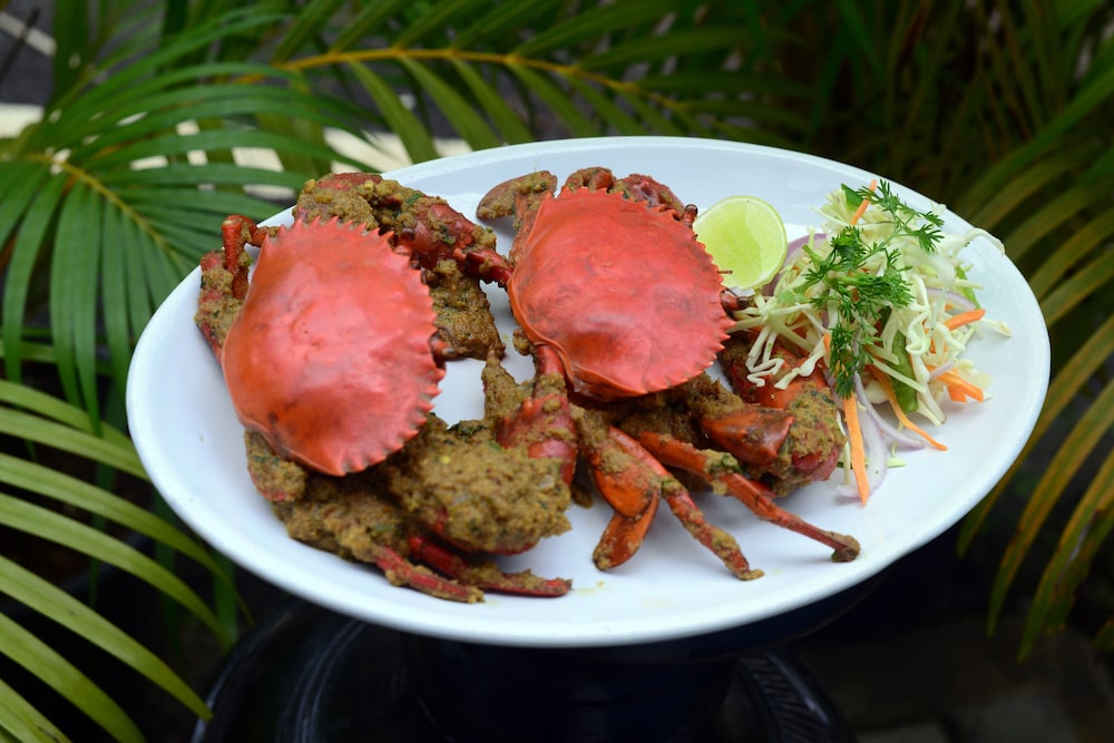 at home bandb donapaula