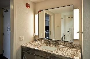 hilton garden inn detroit troy