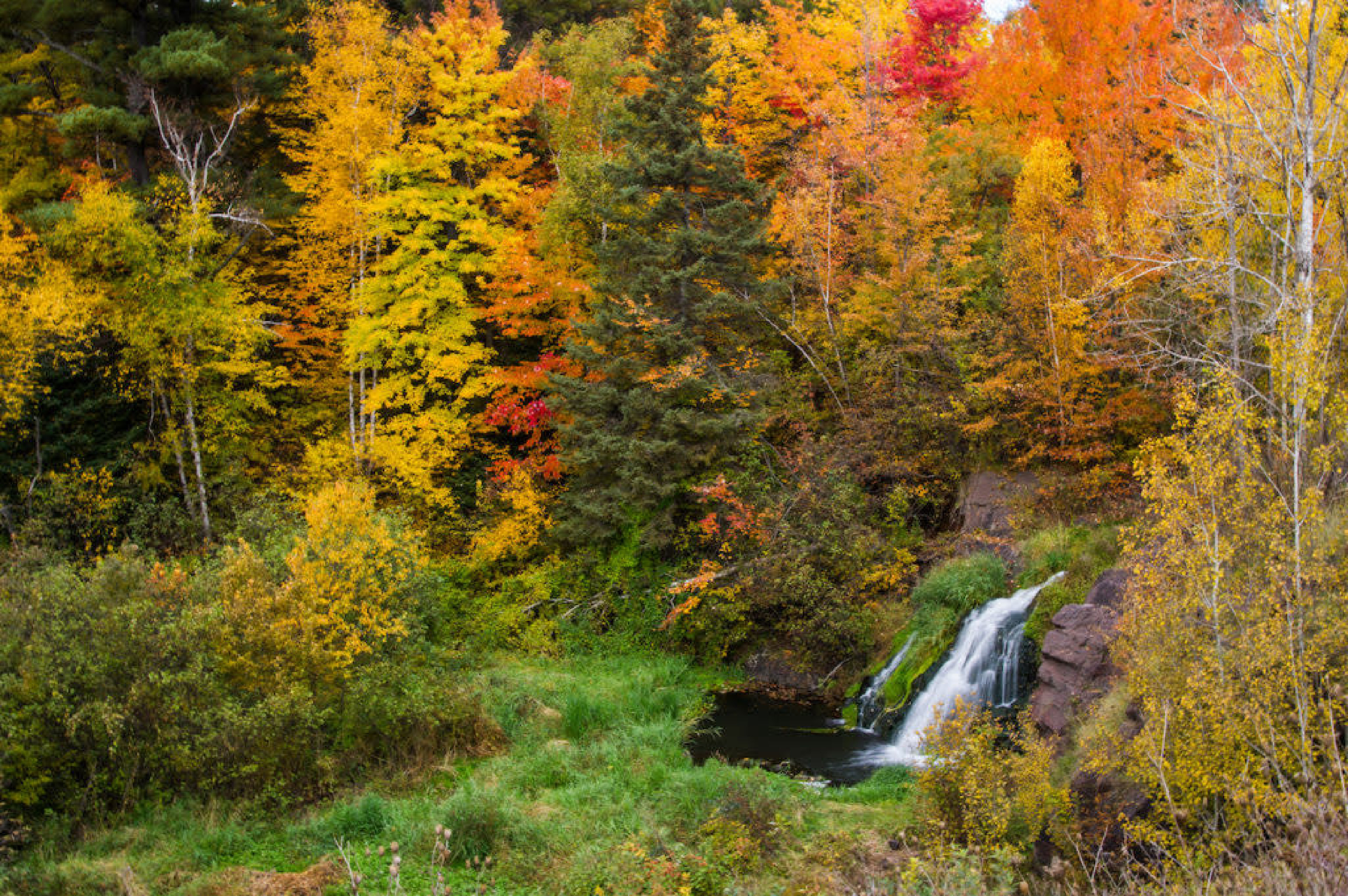 staybridge suites marquette by ihg