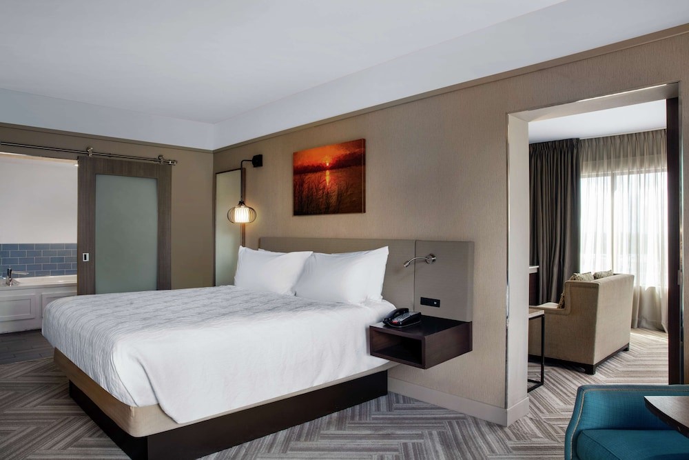 hilton garden inn mobile downtown