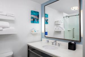 hilton garden inn mobile downtown