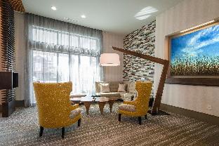 hilton garden inn mobile downtown