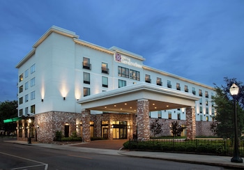 hilton garden inn mobile downtown