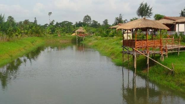 gosaba