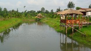 gosaba