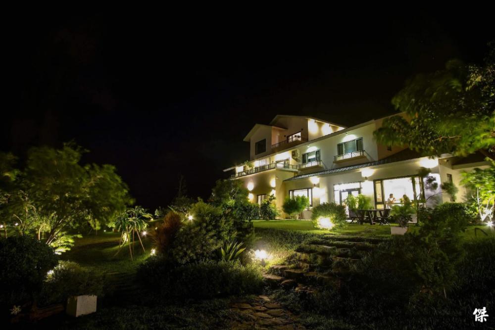the tree bed and breakfast