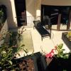 arenys de mar