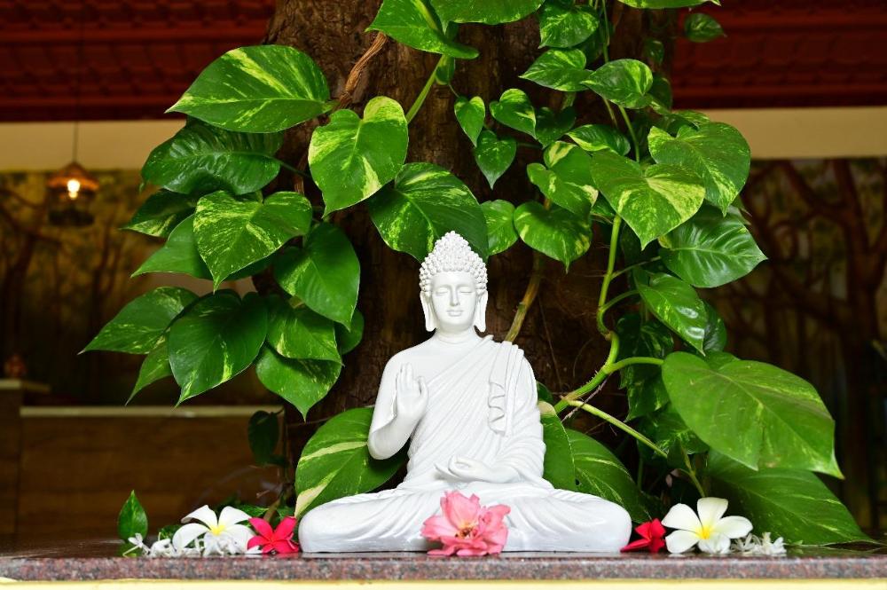 tigers heaven resort