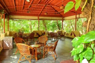 tigers heaven resort