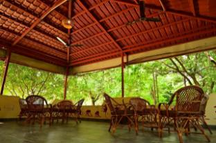 tigers heaven resort