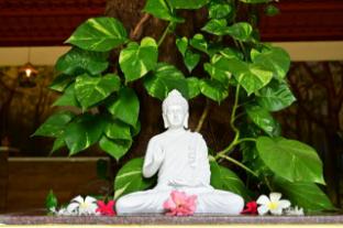 tigers heaven resort