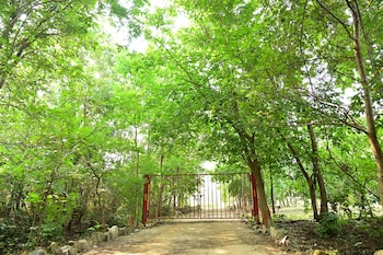 tigers heaven resort