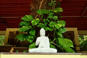 tigers heaven resort