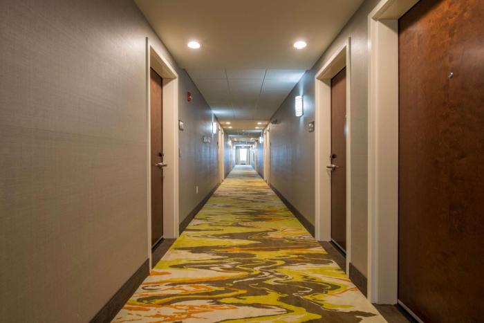 hampton inn waynesboro