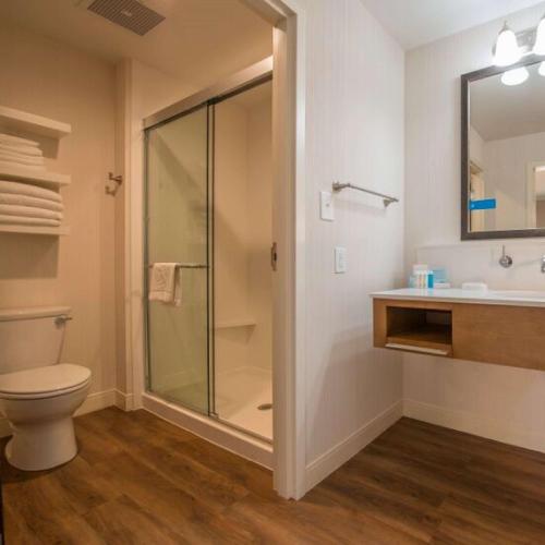 hampton inn waynesboro