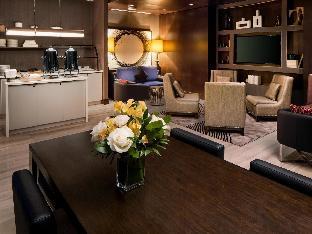 hilton brooklyn new york