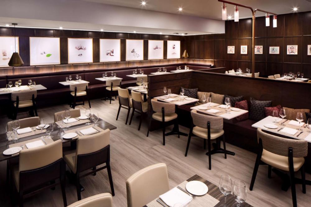 hilton brooklyn new york