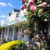 Phoenix Resort,Waikato>>Taupo,3 star
