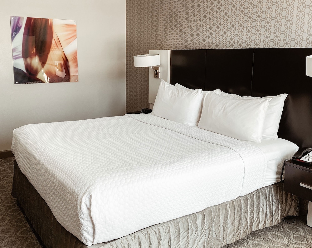 crowne plaza chicago sw burr ridge by ihg