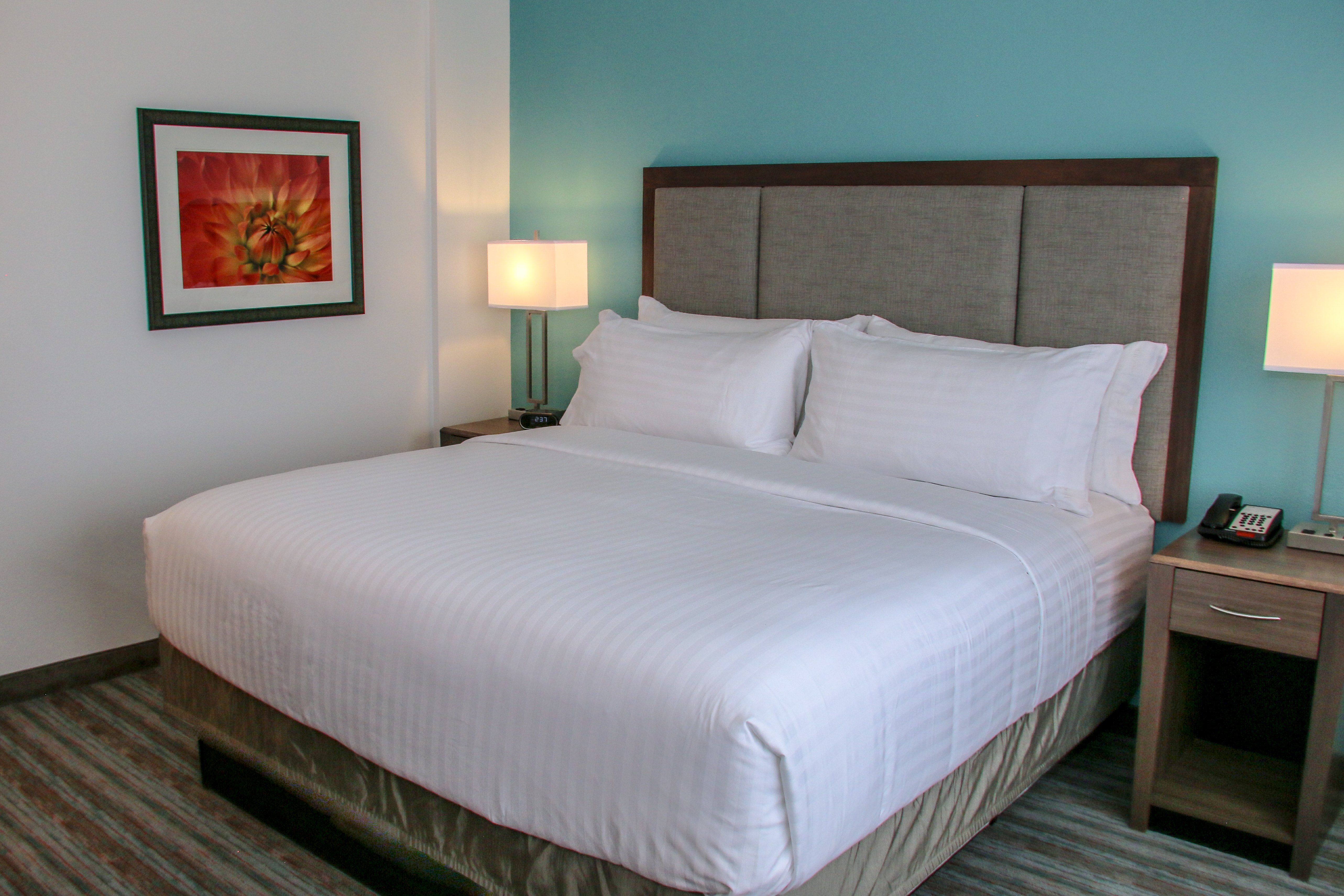 holiday inn and suites denver tech center centennial by ihg