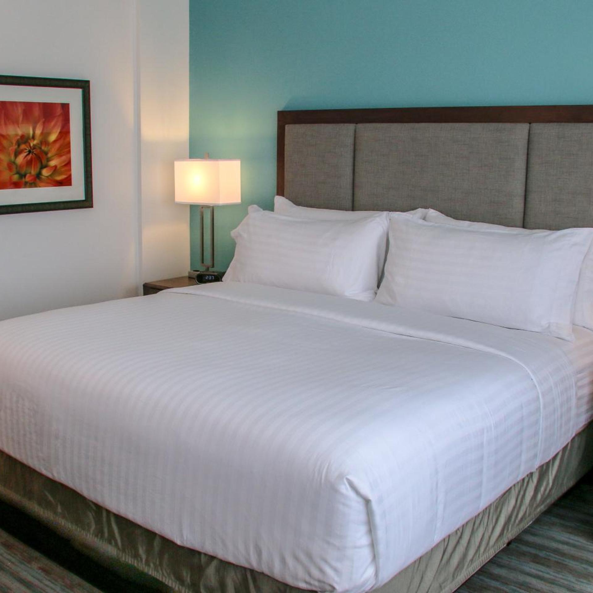 holiday inn and suites denver tech center centennial by ihg