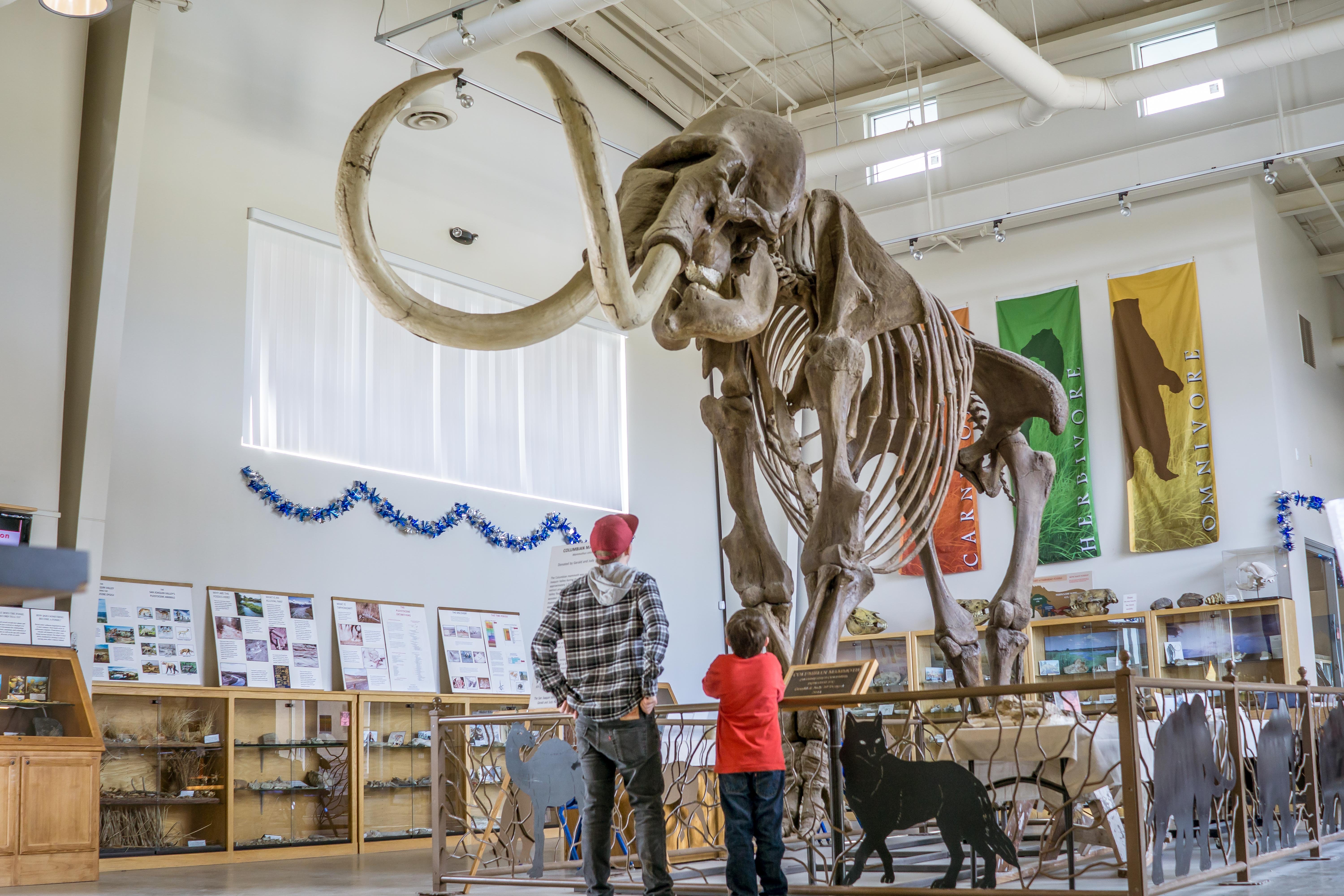 holiday inn express and suites oakhurst yosemite park area
