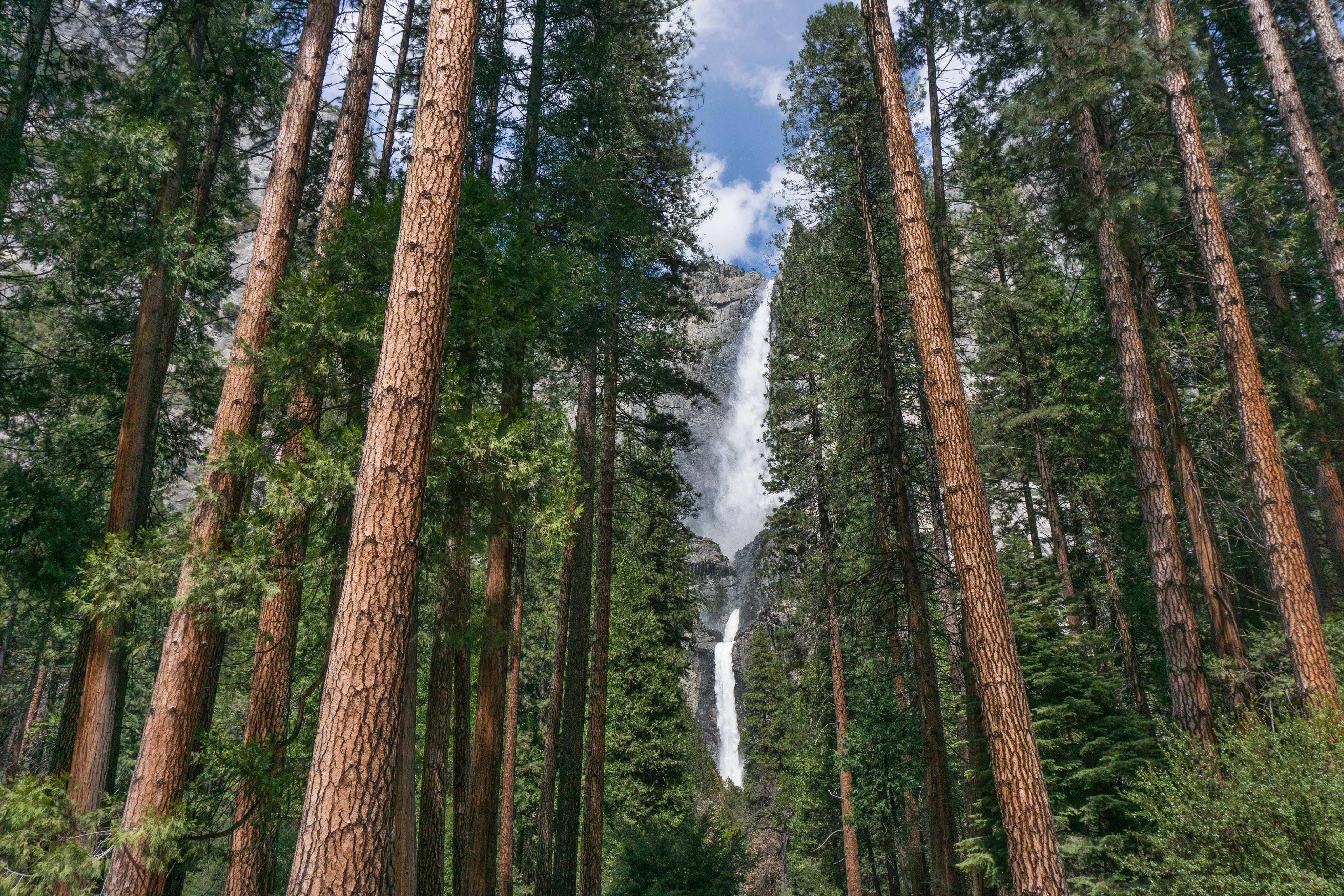 holiday inn express and suites oakhurst yosemite park area