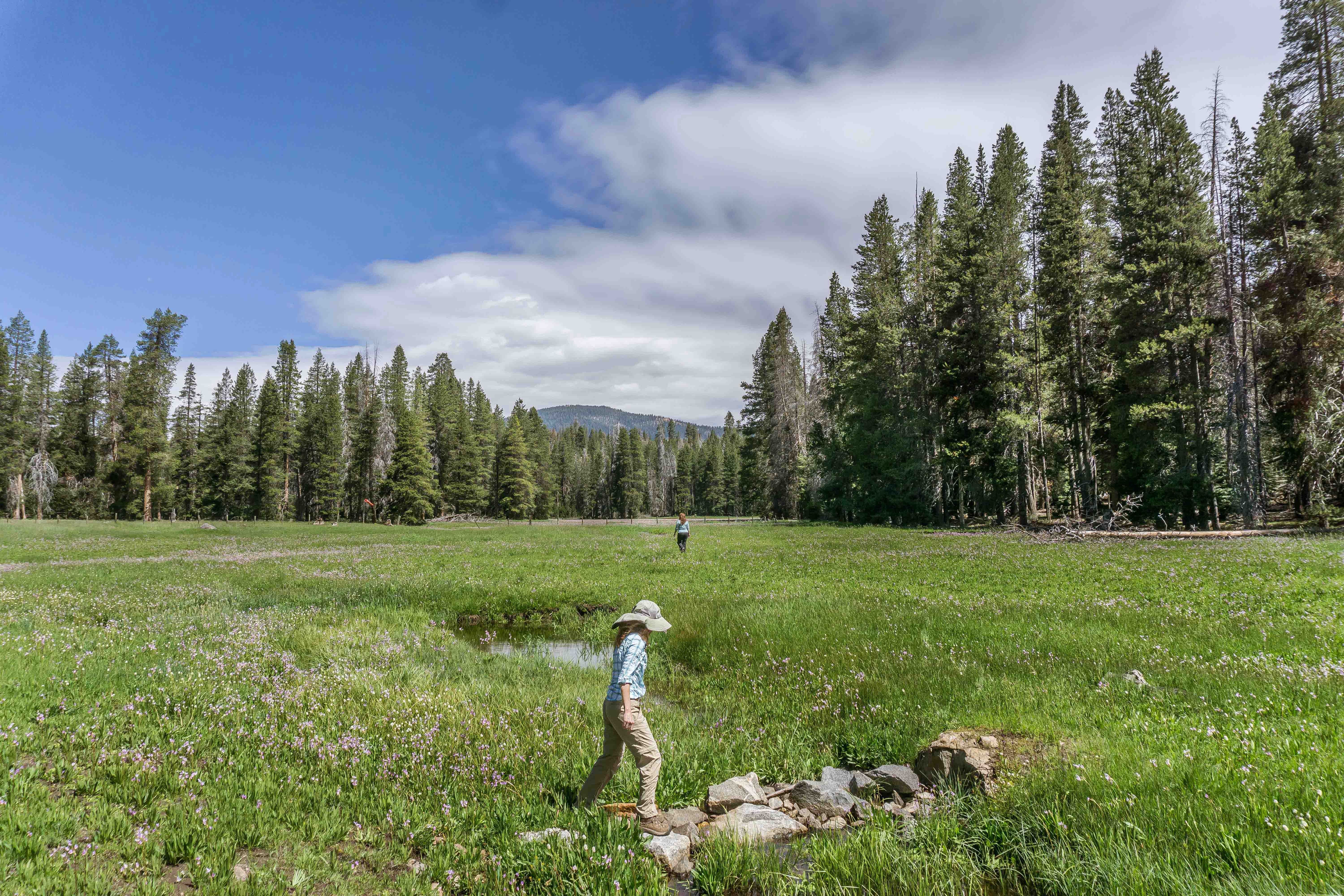 holiday inn express and suites oakhurst yosemite park area