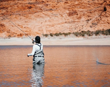 homewood suites by hilton moab