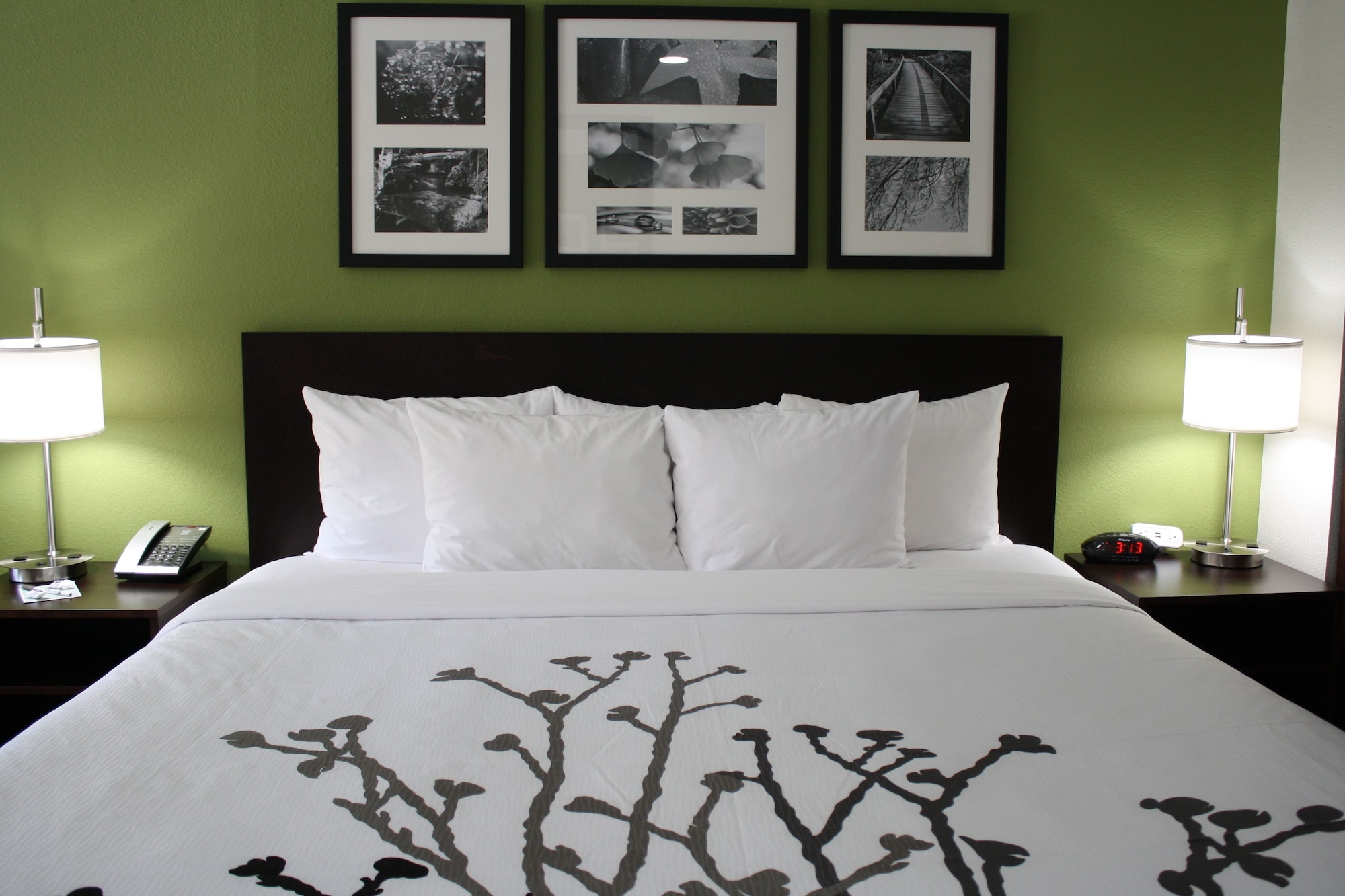 sleep inn ellenboro hwy 50