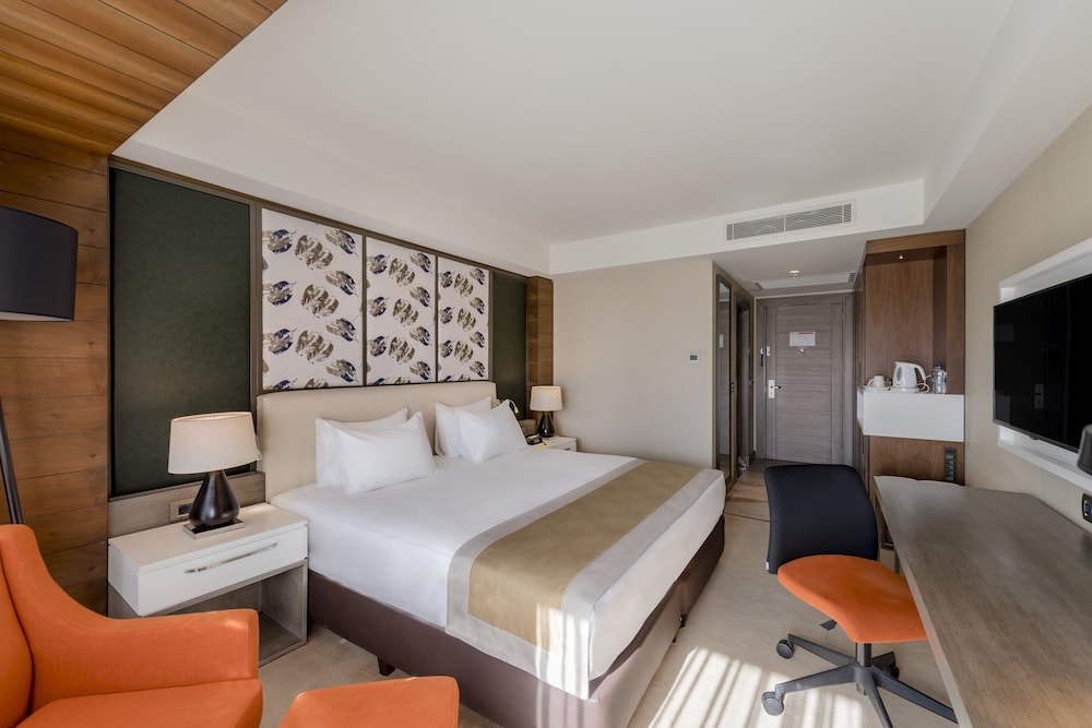 holiday inn kayseri duvenonu by ihg