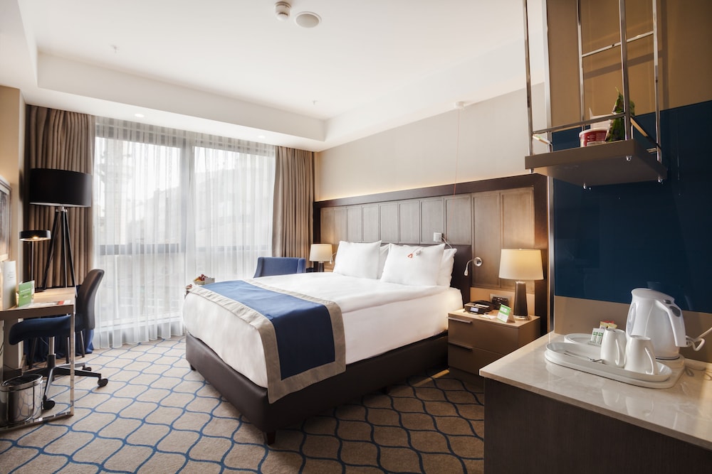 holiday inn kayseri duvenonu by ihg