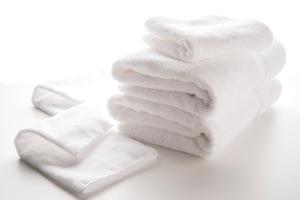 hotel villa fontaine tokyo hamamatsucho