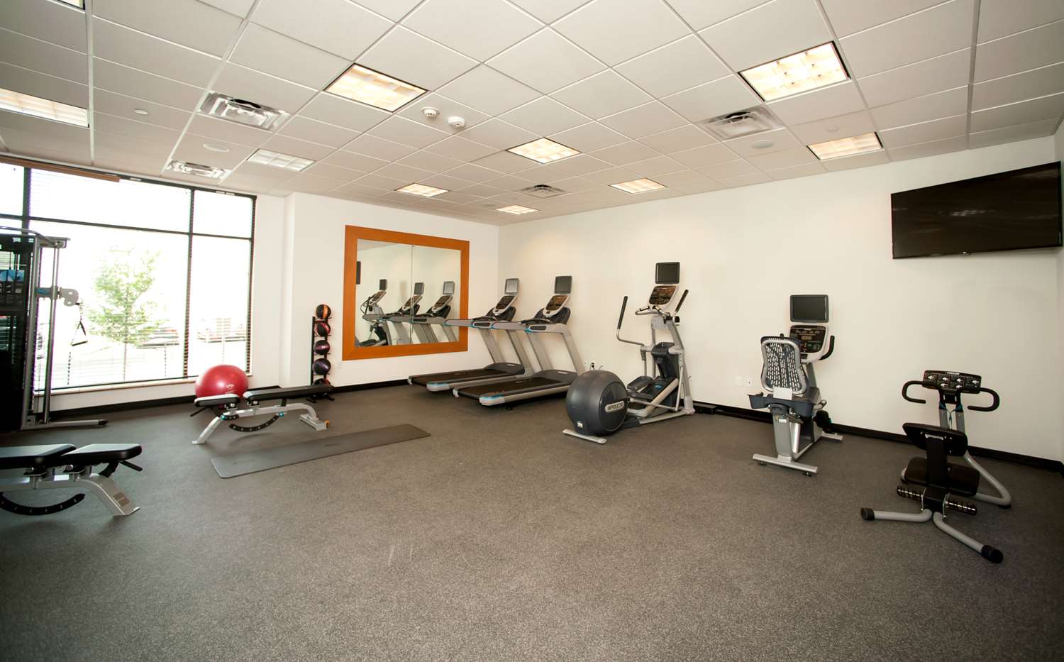 hilton garden inn san antonio live oak conference center