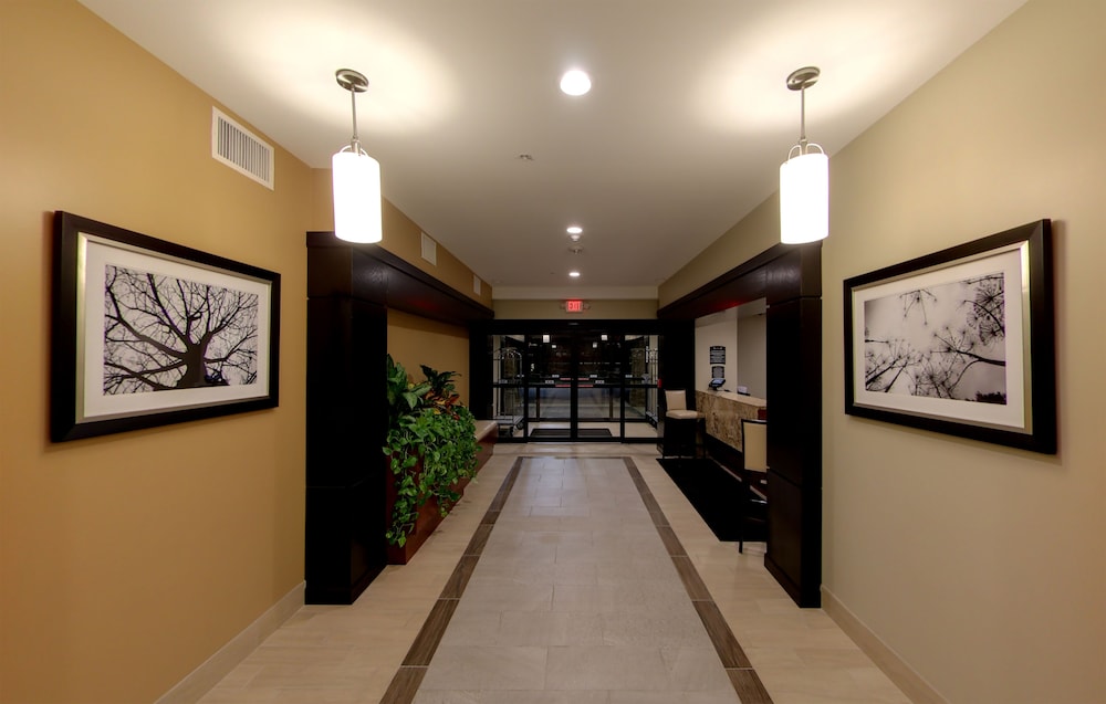 staybridge suites ann arbor univ of michigan by ihg