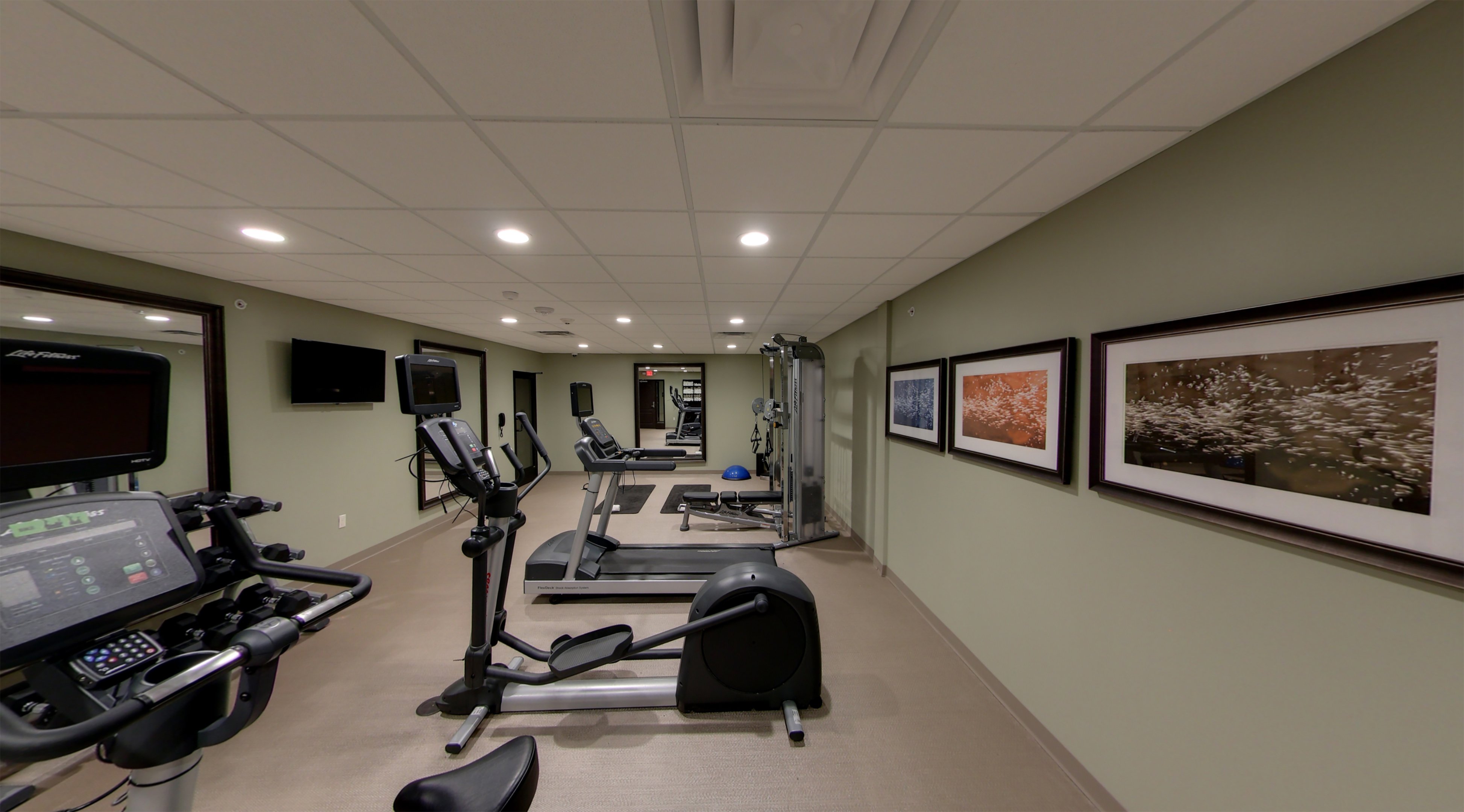 staybridge suites ann arbor univ of michigan by ihg