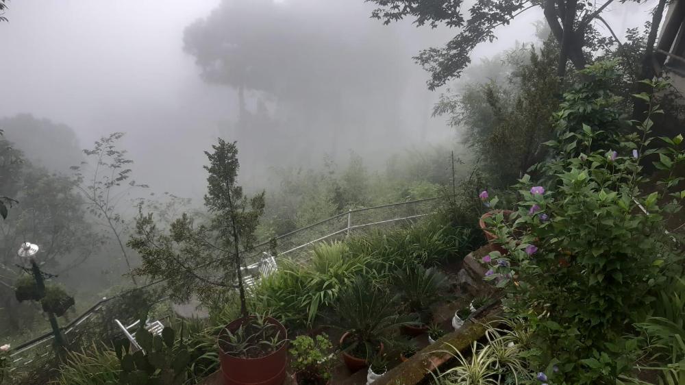 kasauli