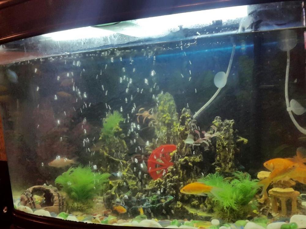 al raien hotel apartment