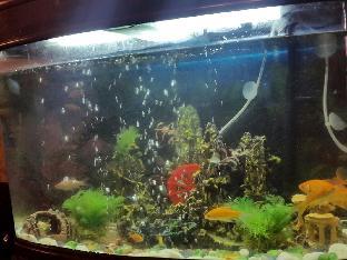 al raien hotel apartment