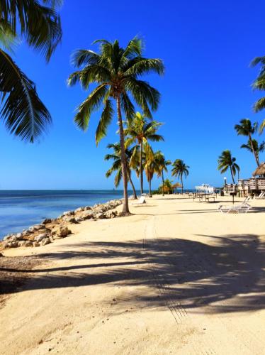 caloosa cove resort