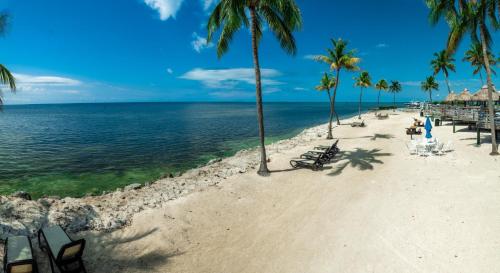 caloosa cove resort