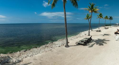 caloosa cove resort