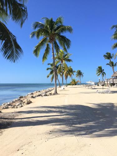 caloosa cove resort
