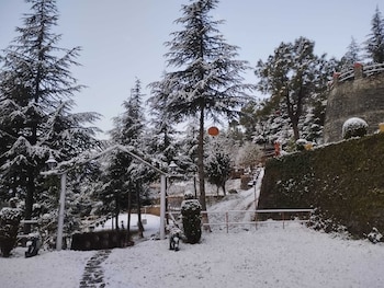 himgiri nature retreat