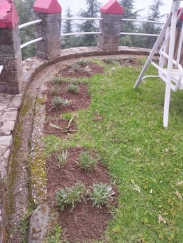 himgiri nature retreat