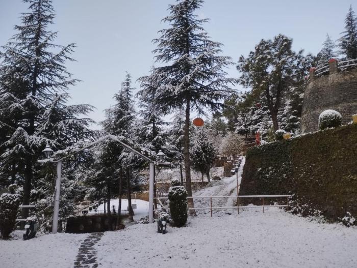 himgiri nature retreat