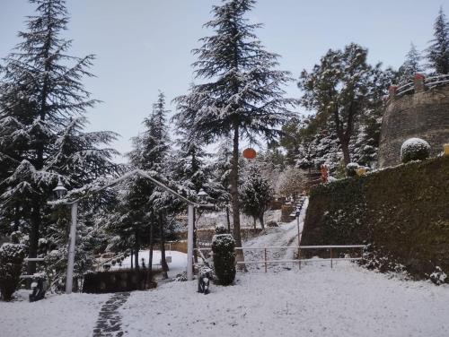 himgiri nature retreat