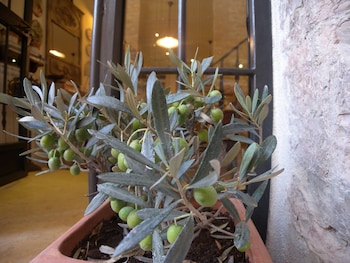 bandb a casa delle fate