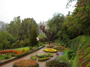 ooty