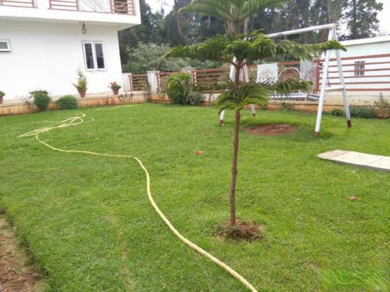 ooty